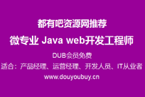 都有吧资源网推荐:微专业 Java web开发工程师